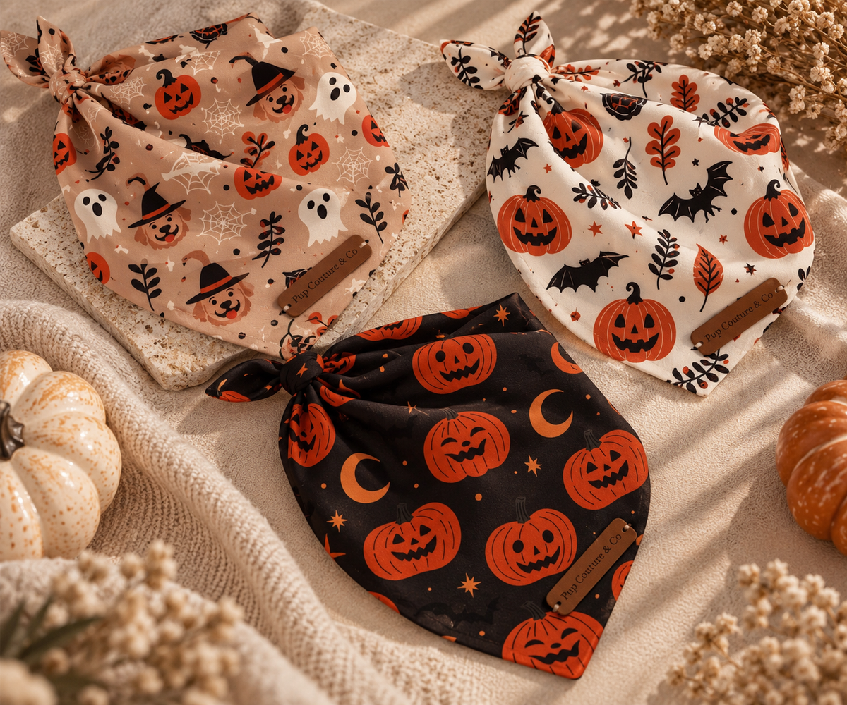 Spooky, playful styles made to add the perfect festive touch to your pup’s Halloween look.
