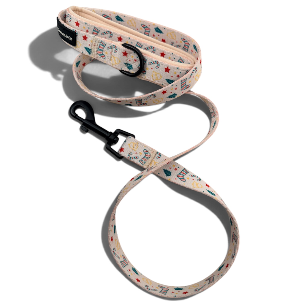O'Starry Night - Leash