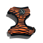 Safari Adventure - Harness