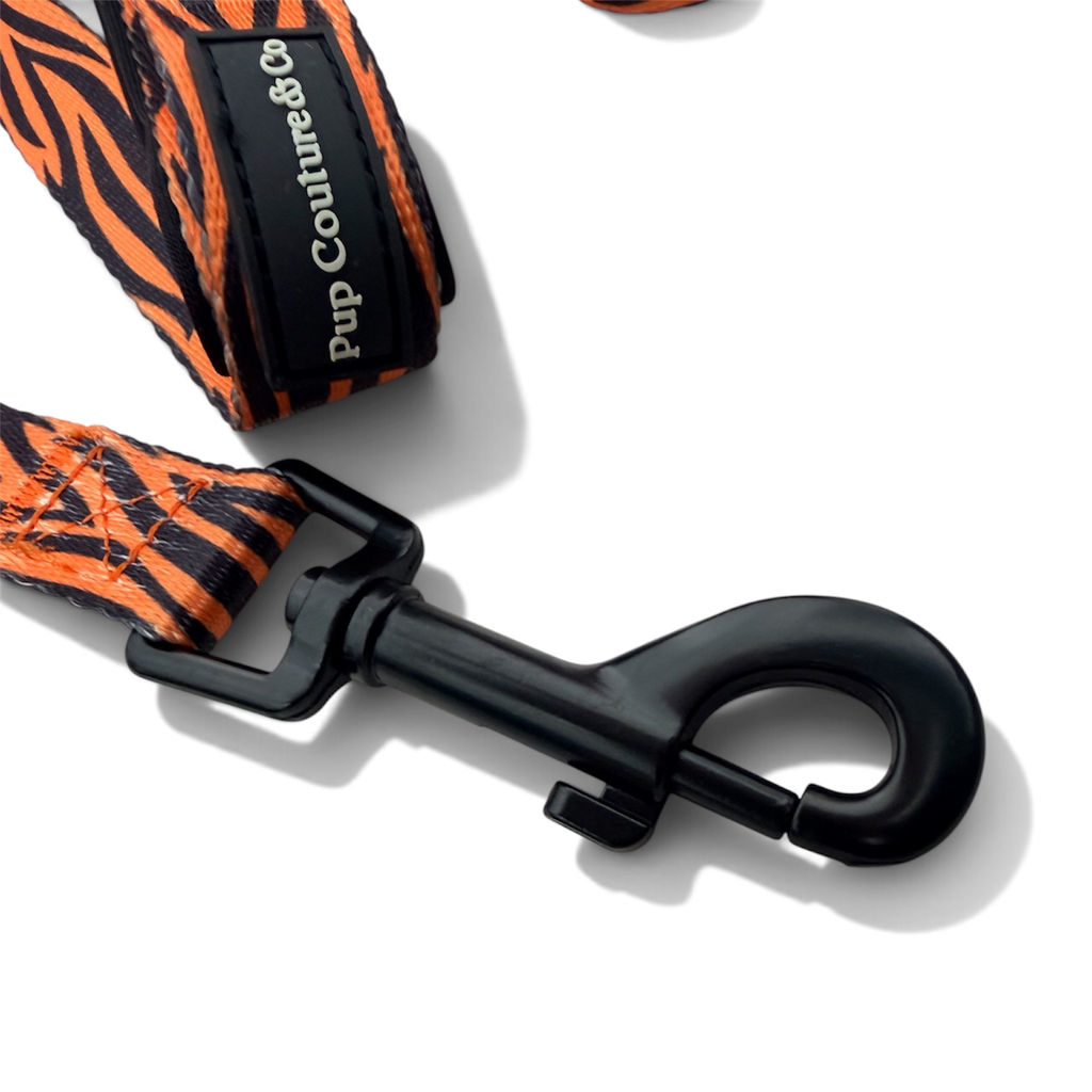 Safari Adventure - Leash