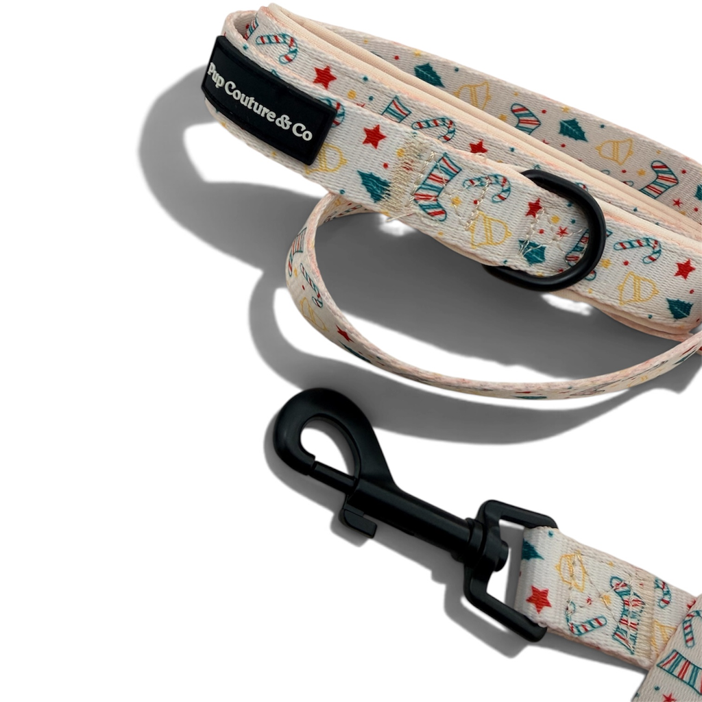 O'Starry Night - Leash