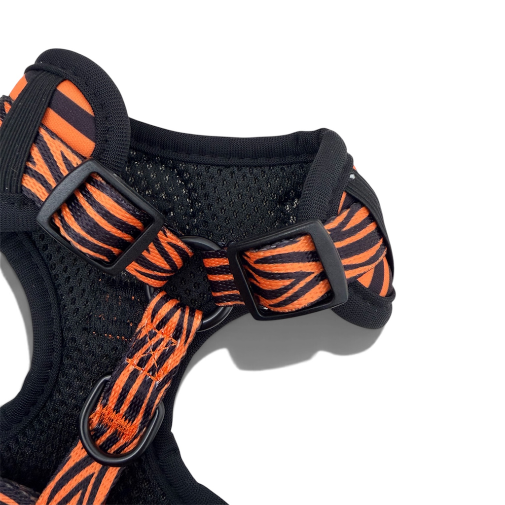 Safari Adventure - Harness