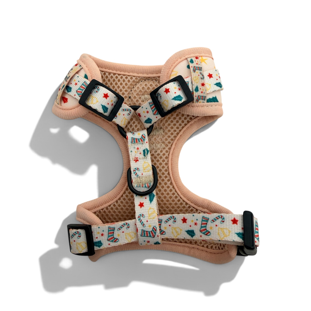O’Starry Night - Harness