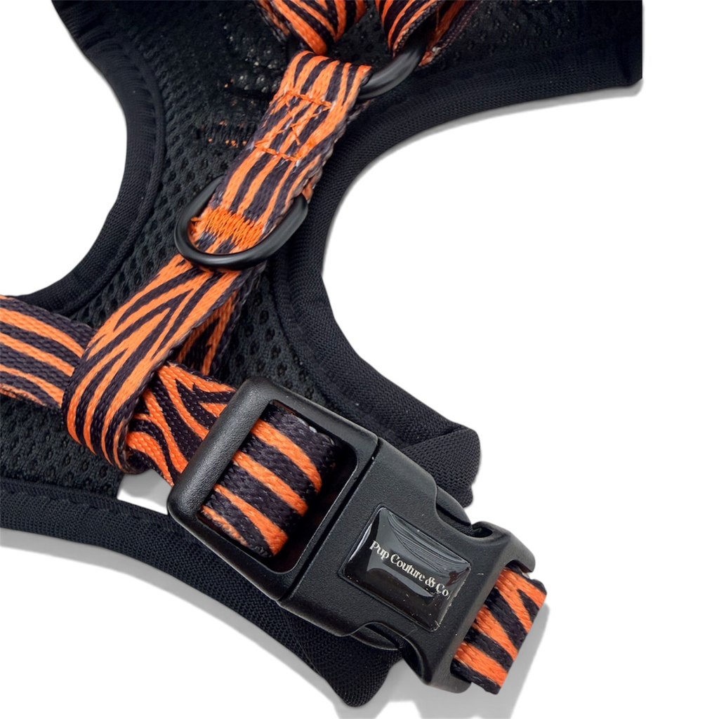 Safari Adventure - Harness