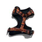Safari Adventure - Harness