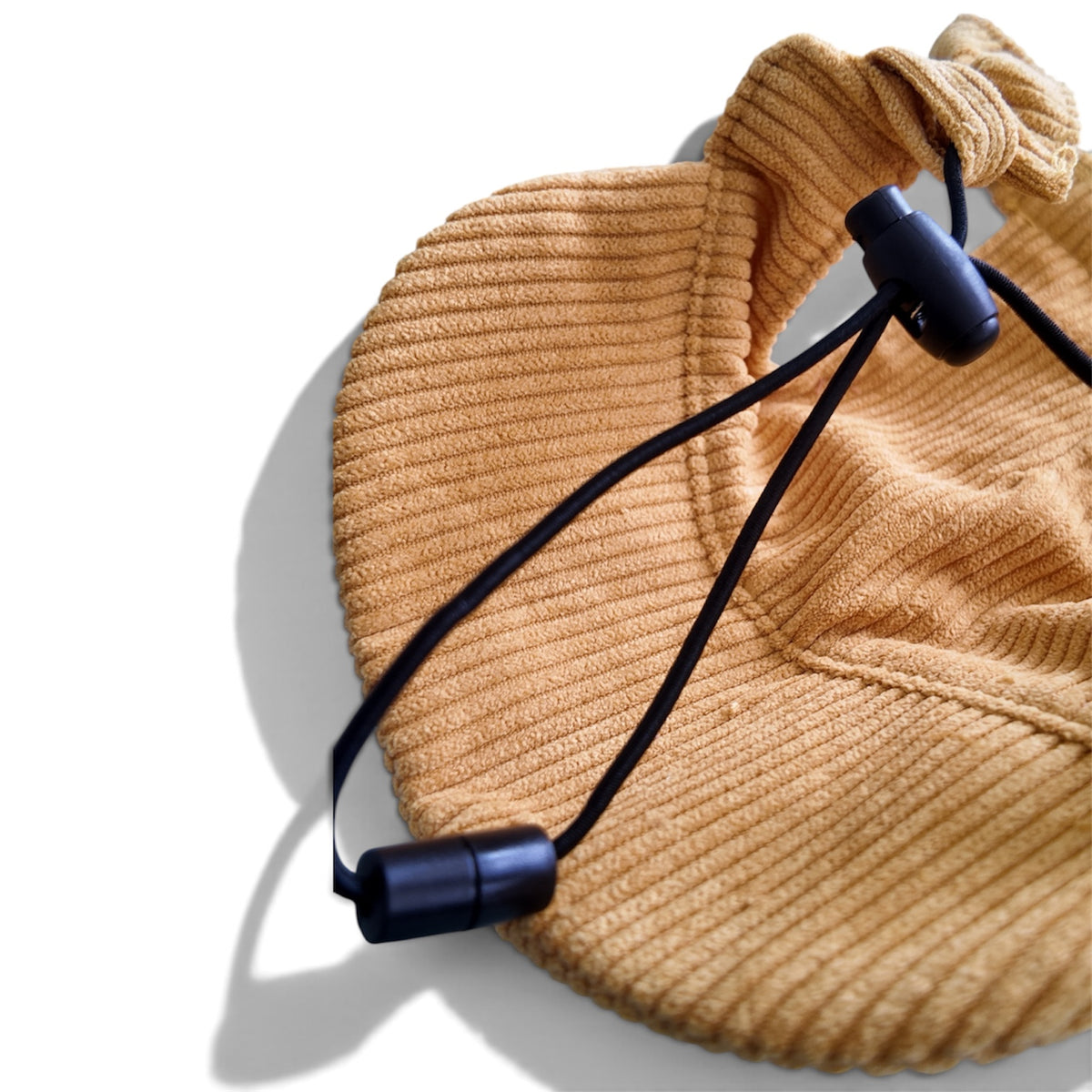 The Golden Paws Dog Hat