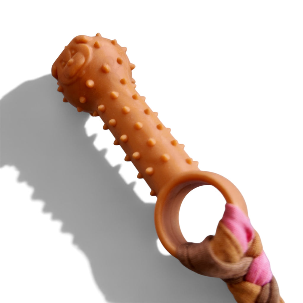 The Pawsome Twist Toy