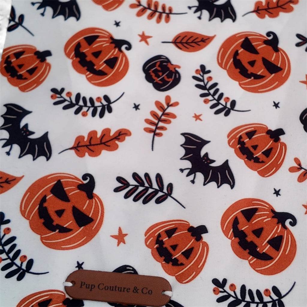 The Pumpkincove Bandana