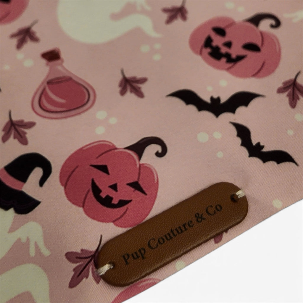 The Pinkspell Bandana