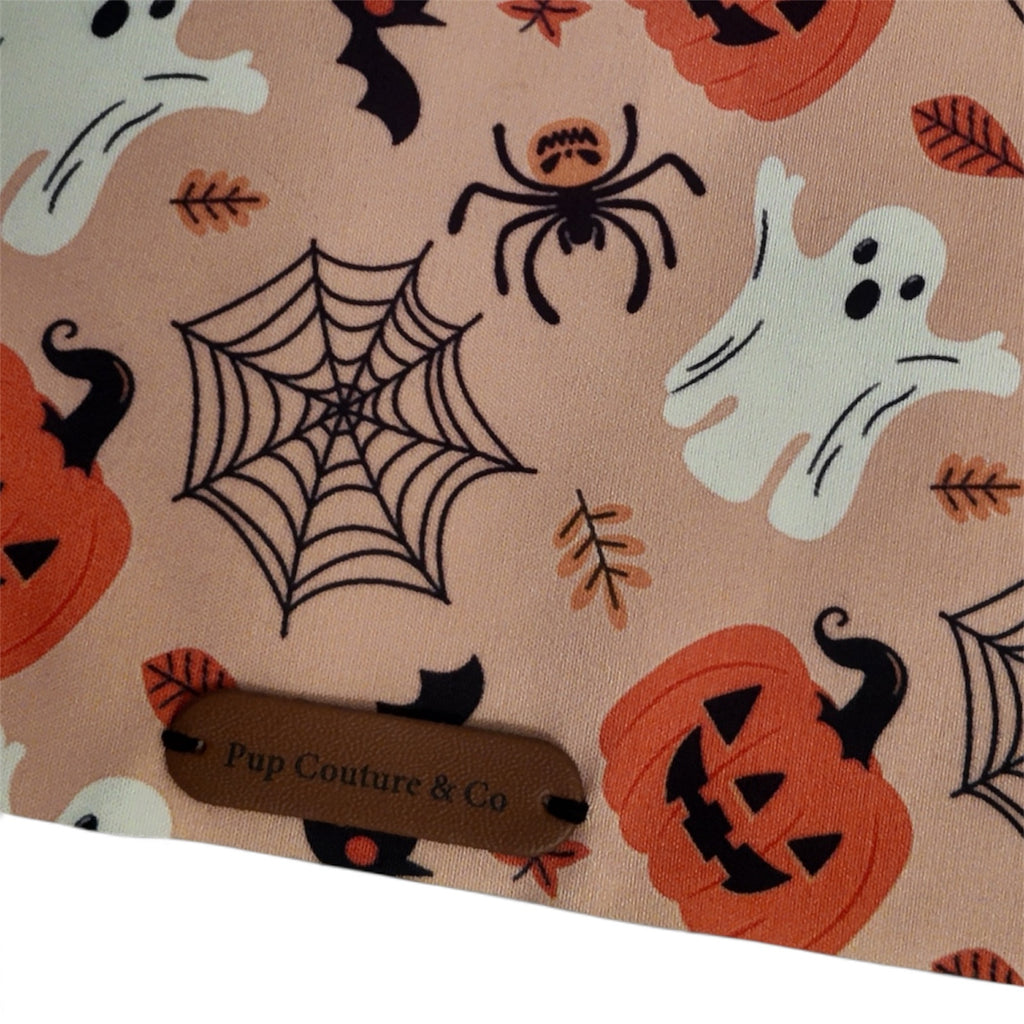 The Spiderspell Bandana