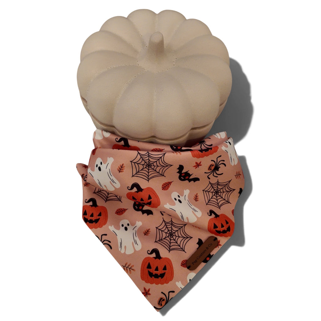 The Spiderspell Bandana