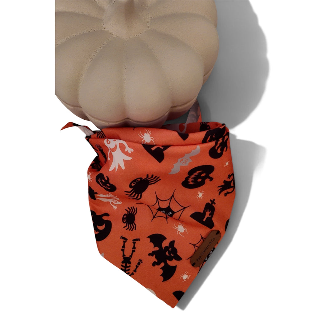 The Hauntedspell Bandana