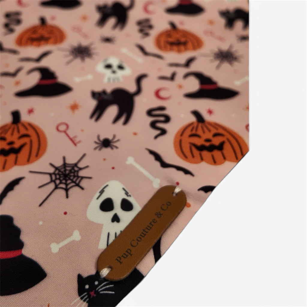 The Catspell Bandana