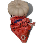 The Moonmeow Bandana