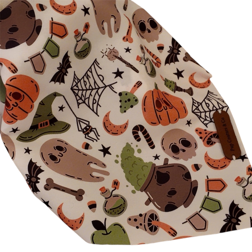 The Bewitched Bloom Bandana